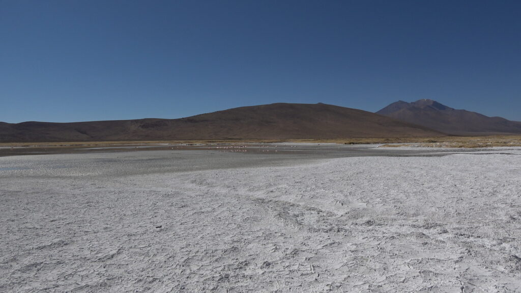 Salar de Surire. Créditos: Zoo Nacional.