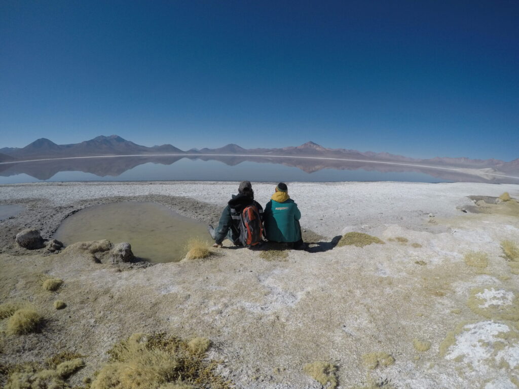 Salar de Surire. Créditos: Zoo Nacional.