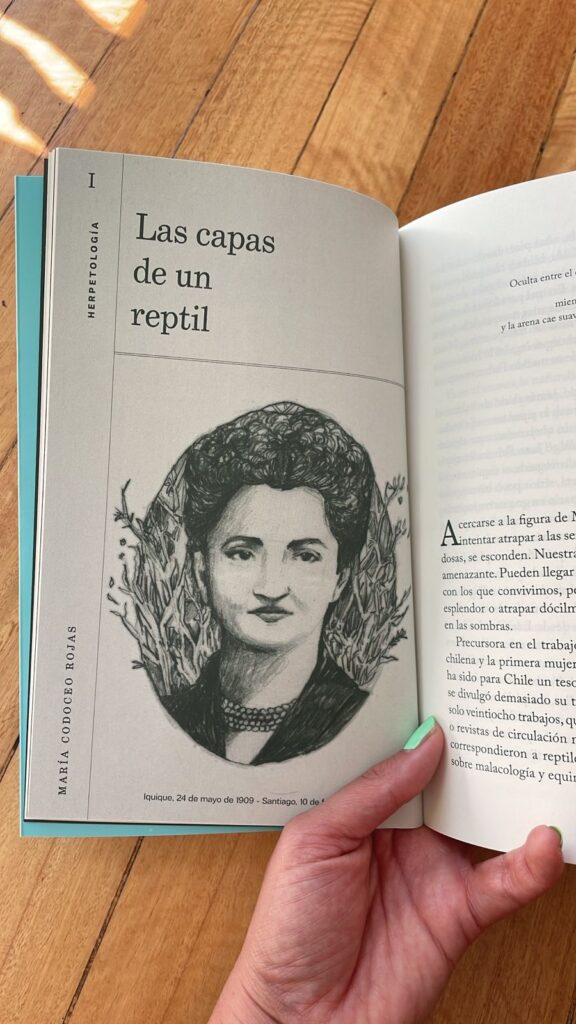 Descifrar la Naturaleza. Créditos Bárbara Tupper