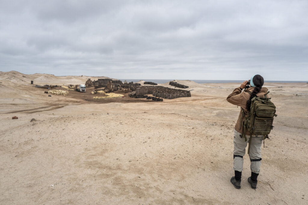 A la izquierda, pingüinos cruzan desde su colonia hacia el mar. A la derecha, trabajadores recolectan guano. 