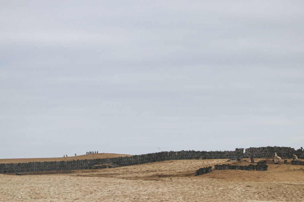A la izquierda, pingüinos cruzan desde su colonia hacia el mar. A la derecha, trabajadores recolectan guano.