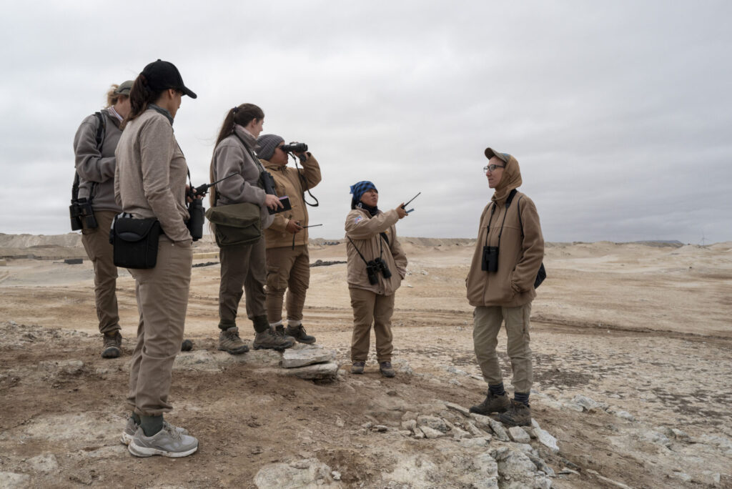 Un grupo de voluntarias coordinan los puntos de
vigilancia del día