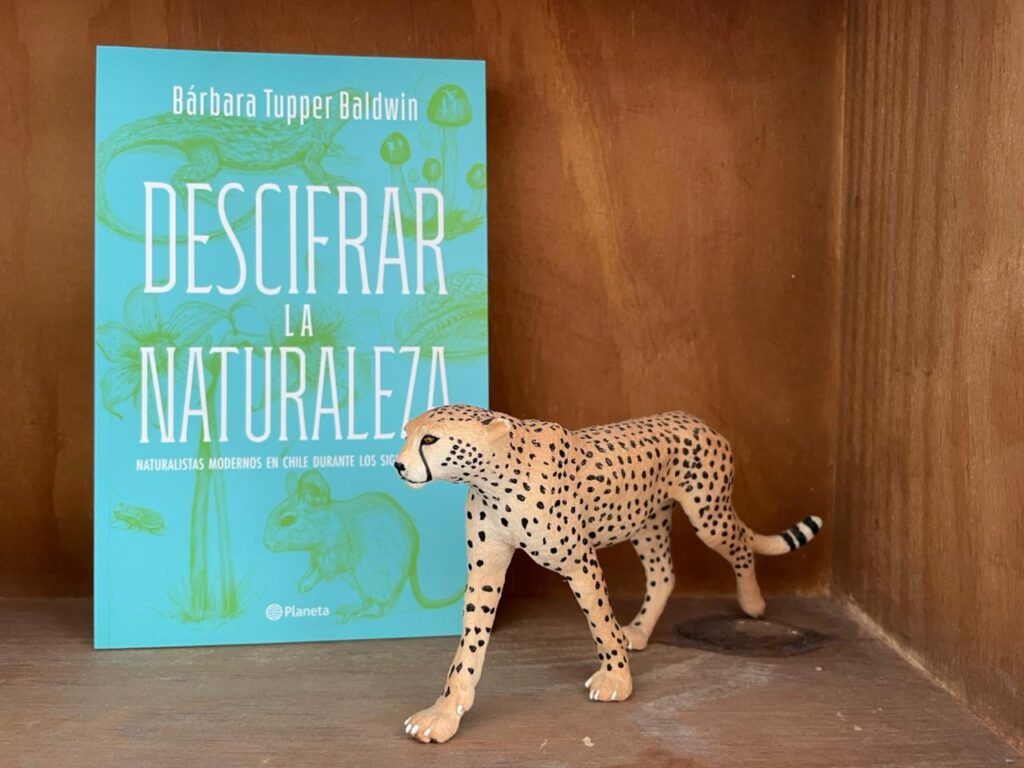 Descifrar la Naturaleza. Créditos Bárbara Tupper