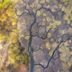 Humedal de Molcul. ©Fernando Gudenschwager