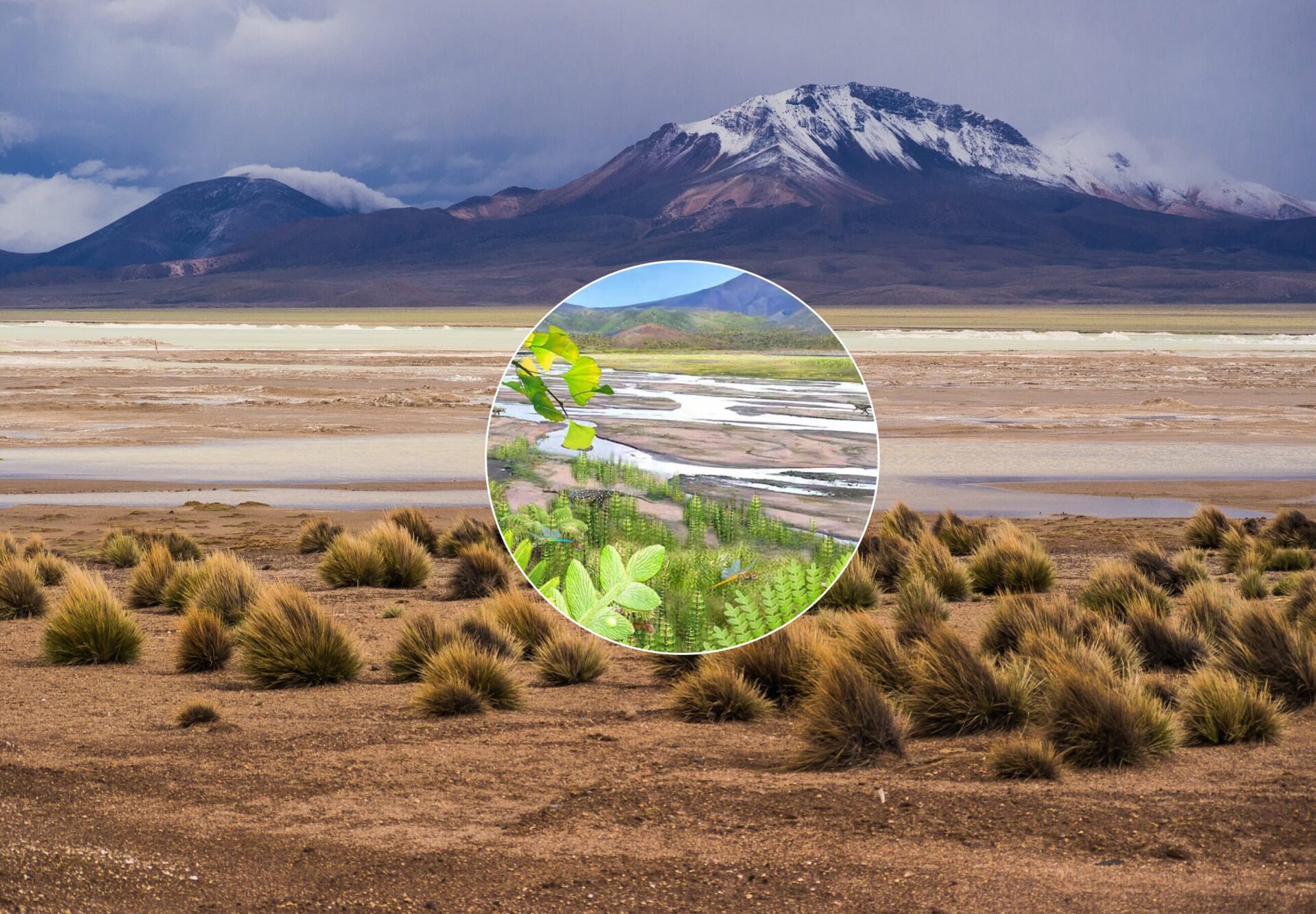 El pasado del desierto de Atacama: Investigación revela que fue un ecosistema verde hace 230 millones de años