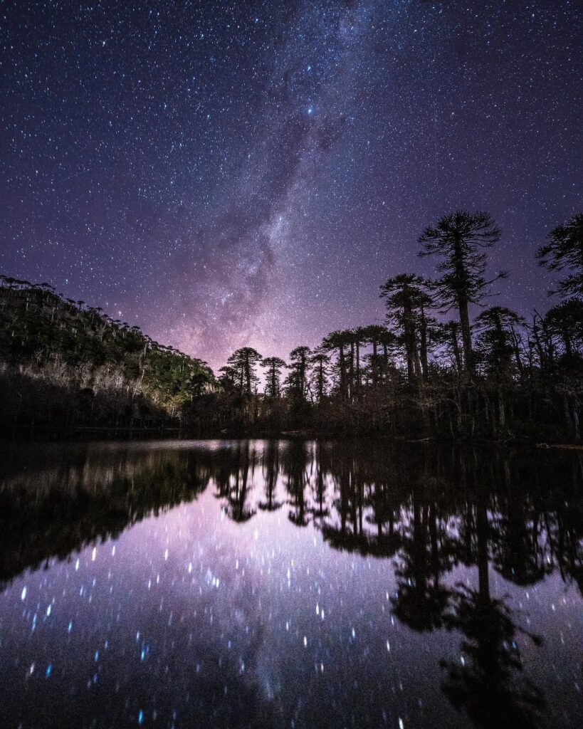 Laguna Negra Santuario el Cañi. ©Fernando Gudenschwager