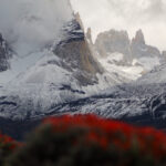 Mataguanaco. Créditos Álvaro Bustos