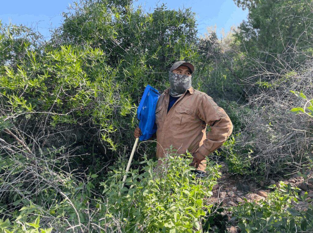 Maximiliano_López_Romero