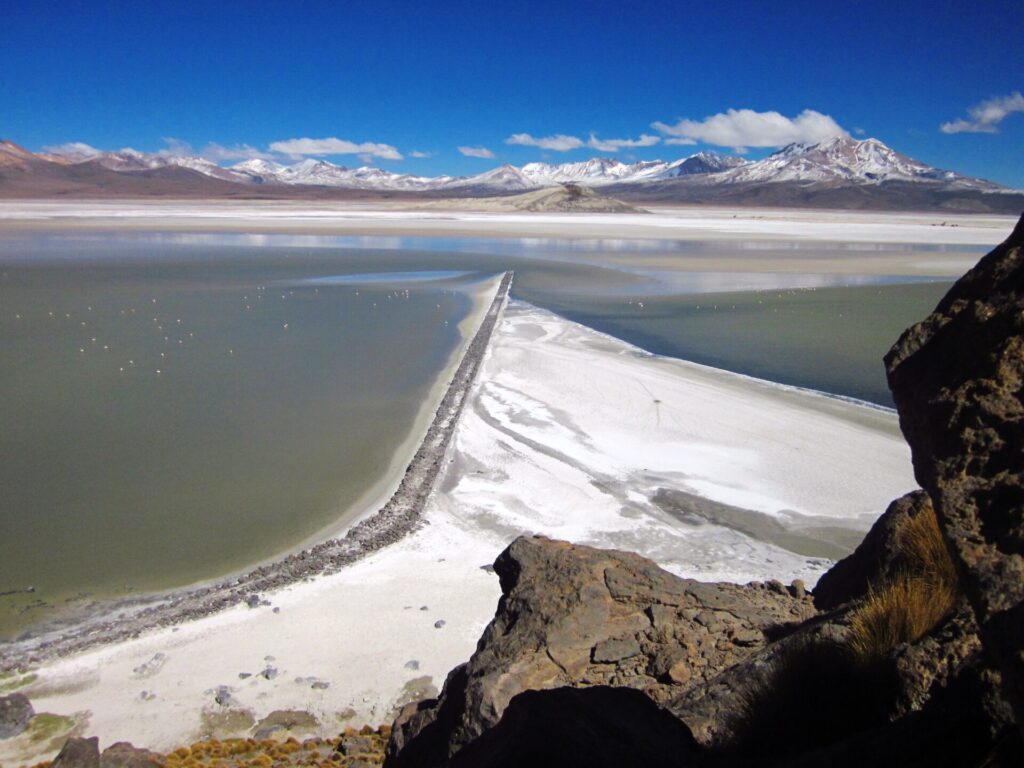 Salar de Surire. Créditos: Corporación Nacional Forestal (CONAF).