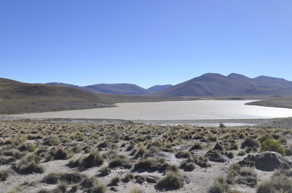 Salar de Surire. Créditos: Corporación Nacional Forestal (CONAF).