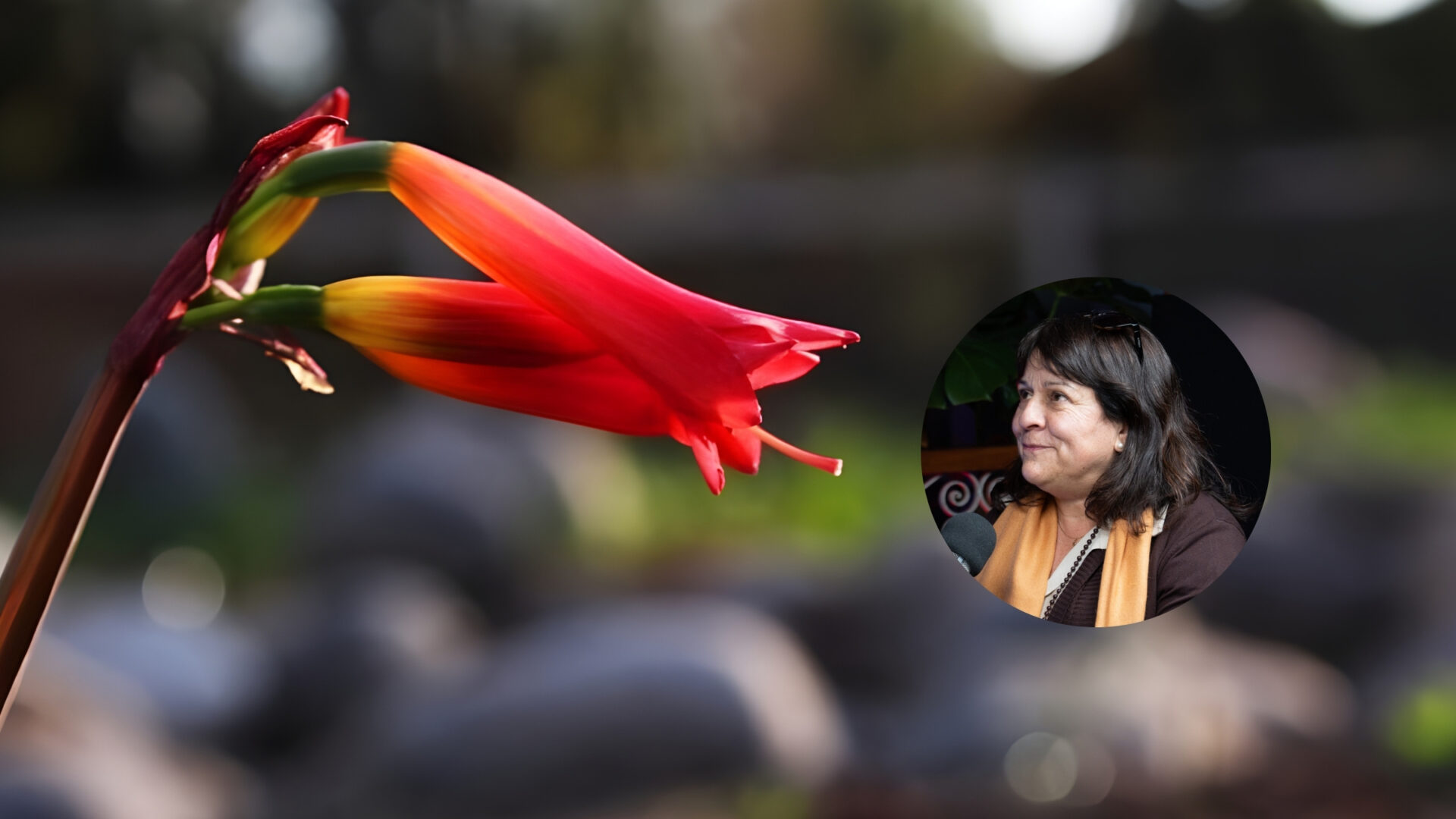 Del vivero al escenario: Mónica Musalem lleva la voz de la flora nativa al Festival Ladera Sur 2025