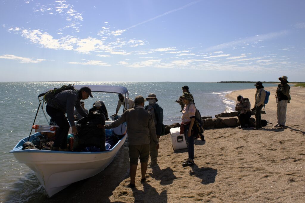 monitores_isla_tiburón