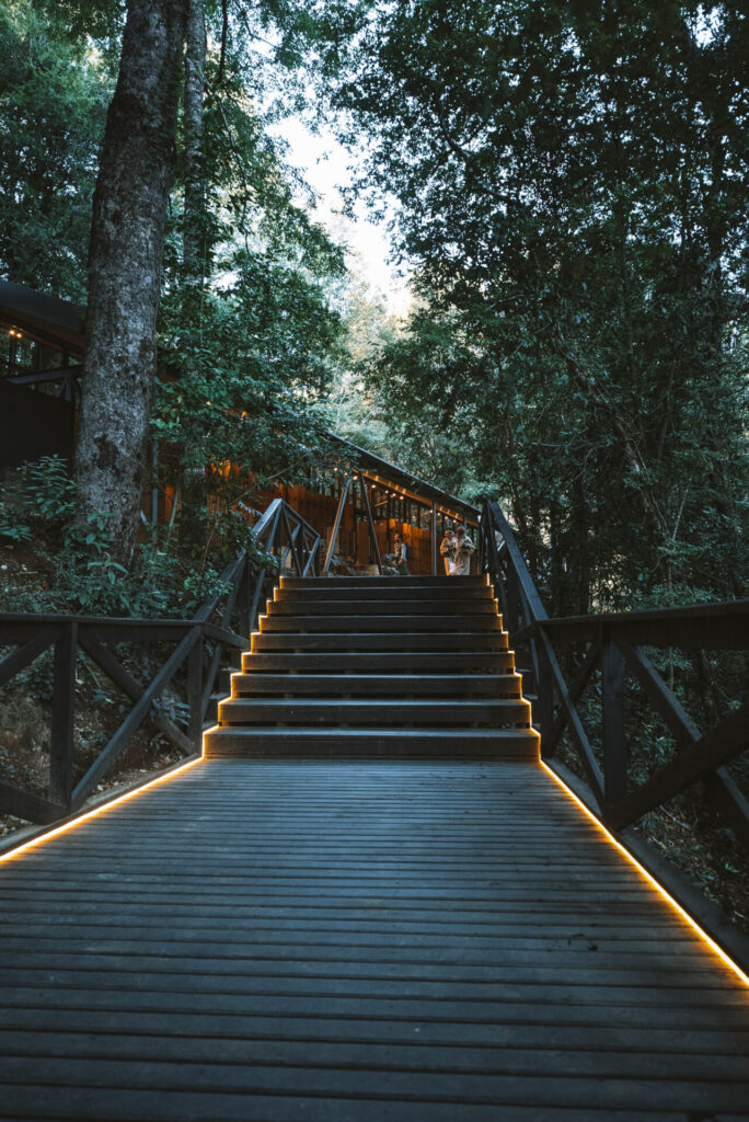 Parque Termal Botánico Créditos: Parque Termal Botánico.