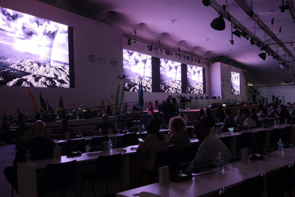 Participants during the Opening Plenary of the High-Level Segment. (Photo:© UN Climate Change - Diego Herculano)