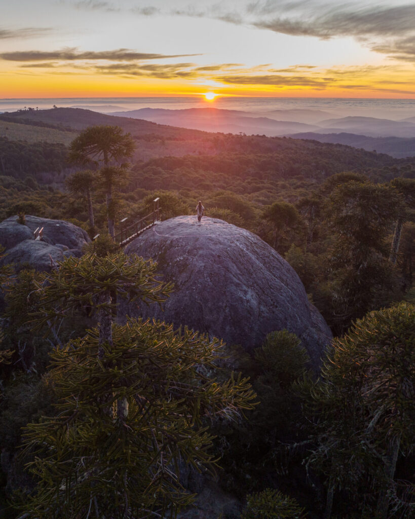 Piedra del Aguila, Parque Nacional Nahuelbuta. Humedal de Molcul. ©Fernando Gudenschwager