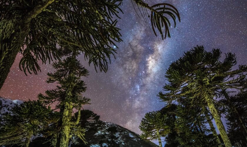 El espíritu sanador de La Araucanía a través del ojo de Fernando Gudenschwager Martini, quien estará en el Festival Ladera Sur 2025