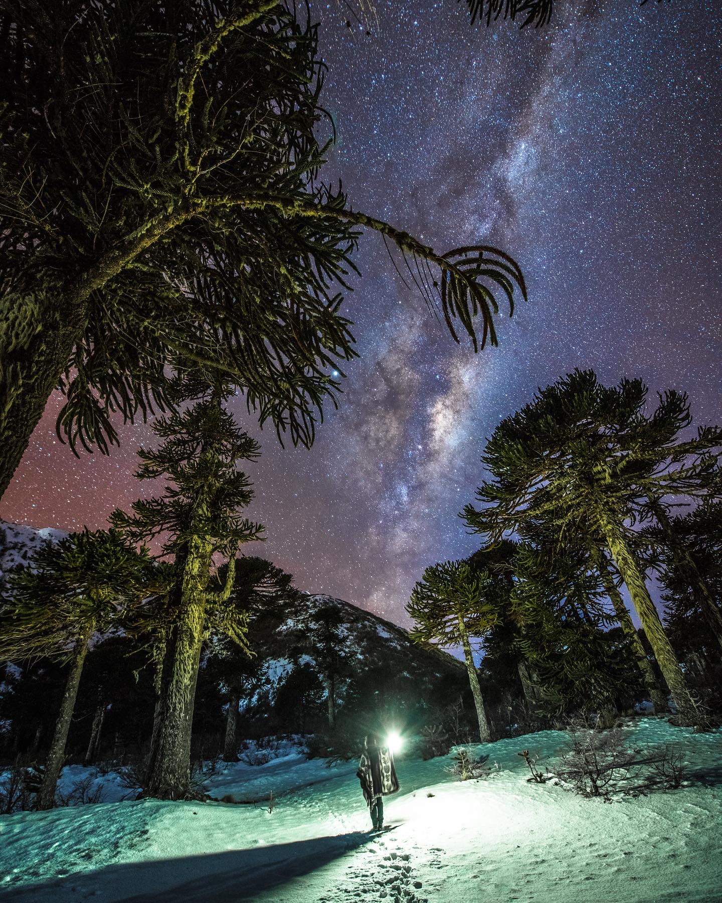 El espíritu sanador de La Araucanía a través del ojo de Fernando Gudenschwager Martini, quien estará en el Festival Ladera Sur 2025