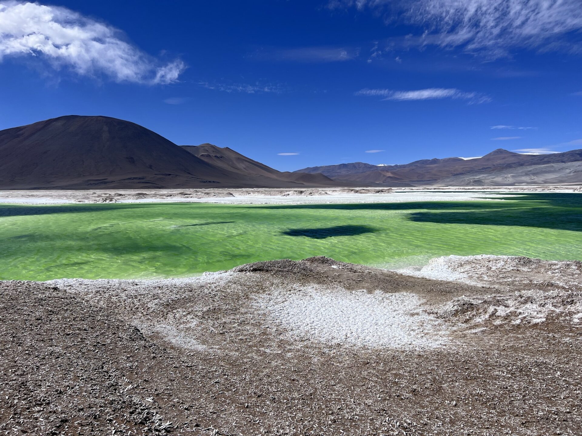 «El hito de creación de la Red de Salares Protegidos es histórico»: Anuncian 6 áreas protegidas para resguardo de 10 salares y lagunas altoandinas