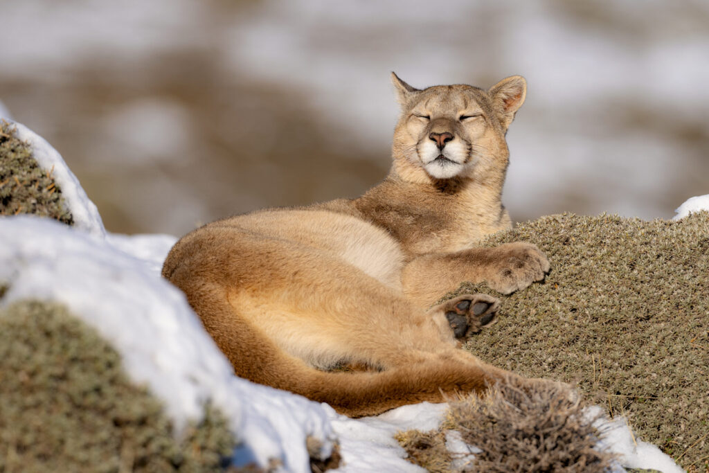 Foto: Rodrigo Moraga