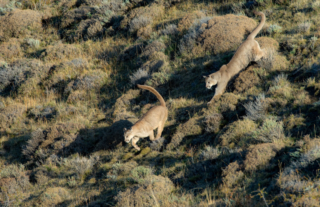 Foto: Rodrigo Moraga