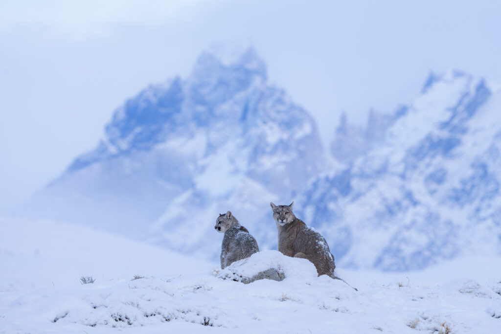 Foto: Rodrigo Moraga