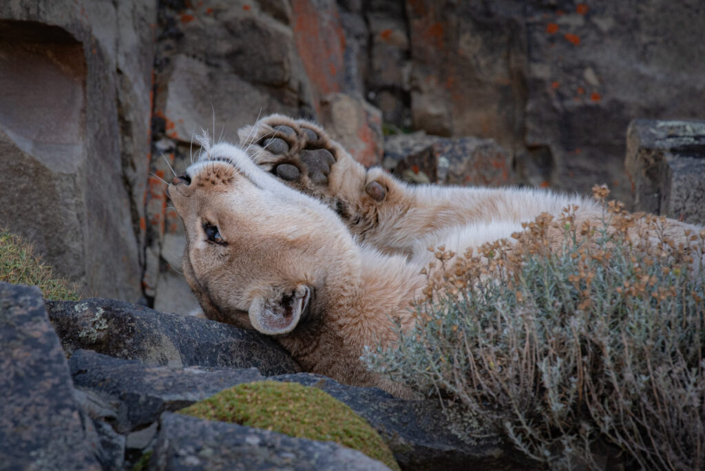 Foto: Rodrigo Moraga