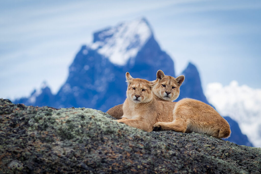 Foto: Rodrigo Moraga