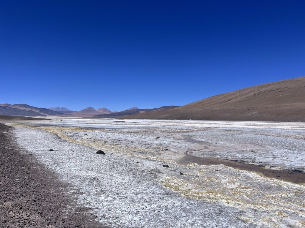 Salar Las Parinas