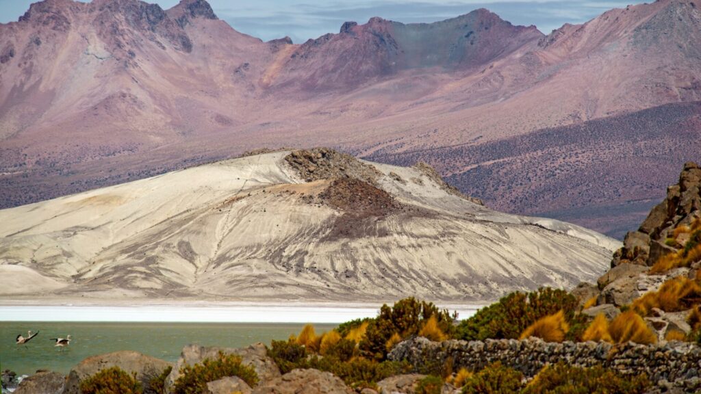 Salar de Surire. Créditos: Atosan.