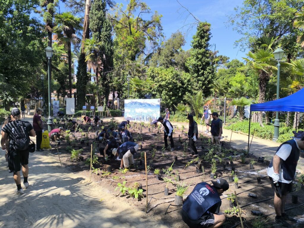 Plantación Bosque Miyawaki.
