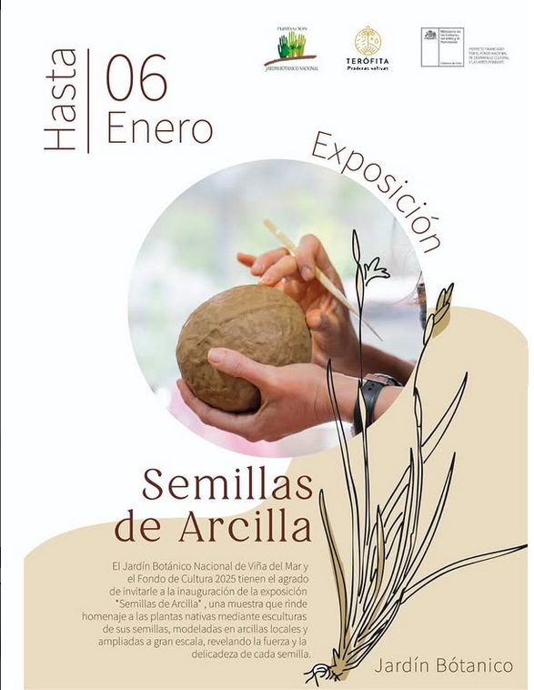 “Semillas de Arcilla”: una mirada desde la cerámica a nuestras semillas nativas