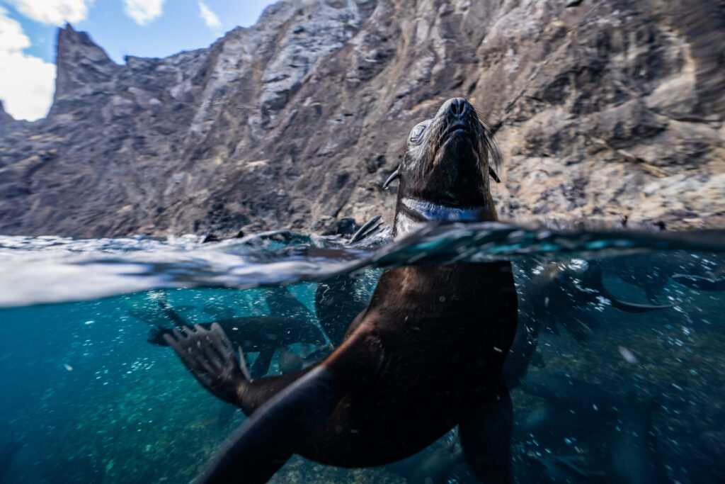 Mar de Juan Fernández. Créditos: Max Bello.