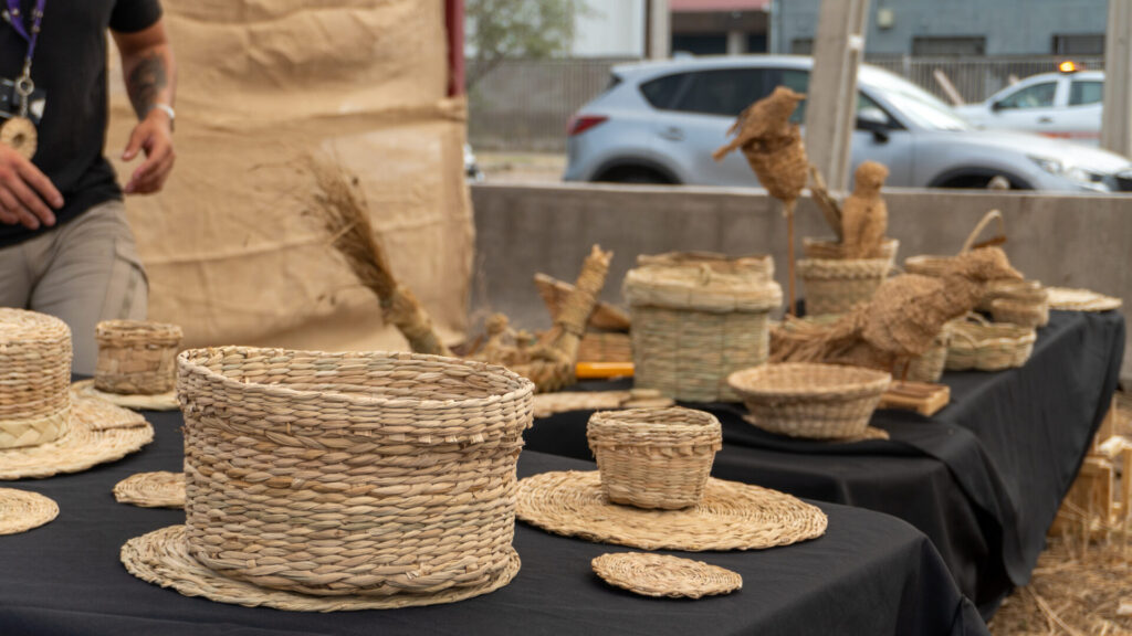 Resultados talleres de totora.
