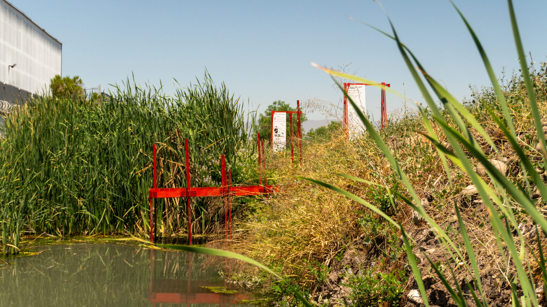 Impulsan proyecto que busca transformar vertedero ilegal en humedal de Quilicura y descontaminar el canal San Ignacio