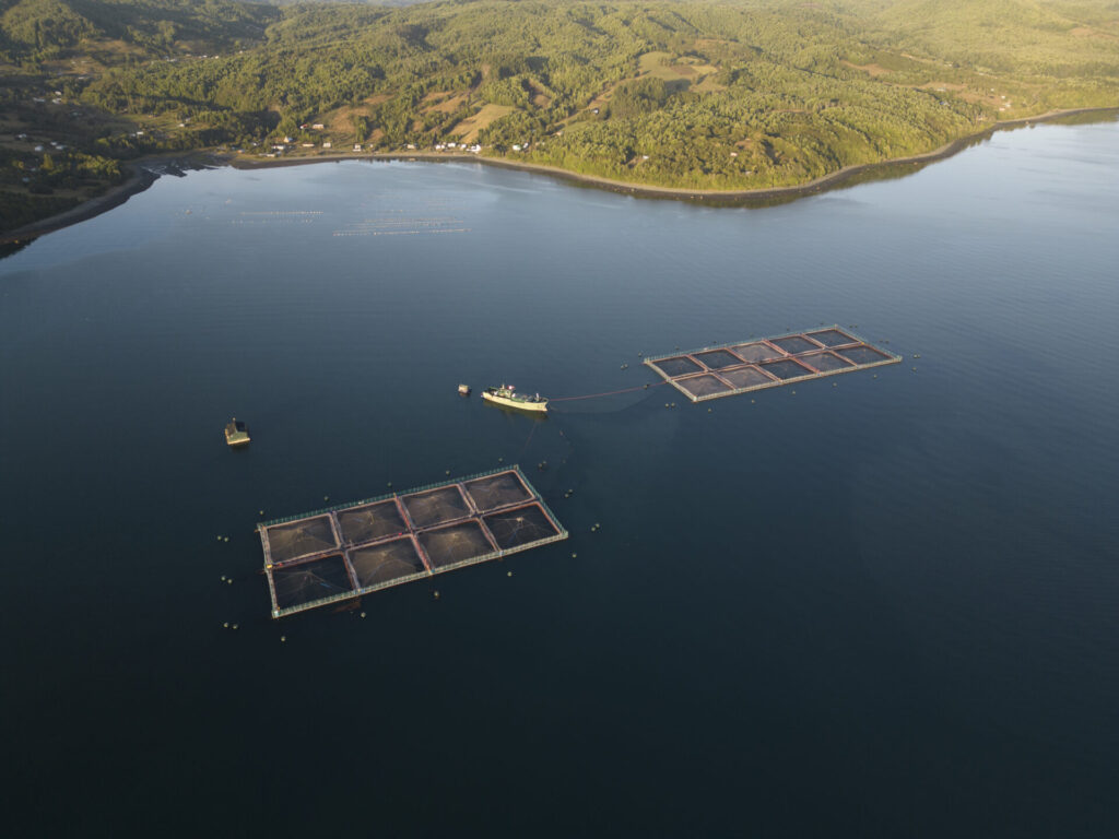 Salmoneras en la patagonia.