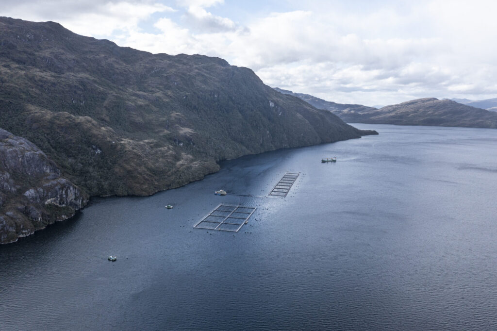 Salmoneras en la zona austral.