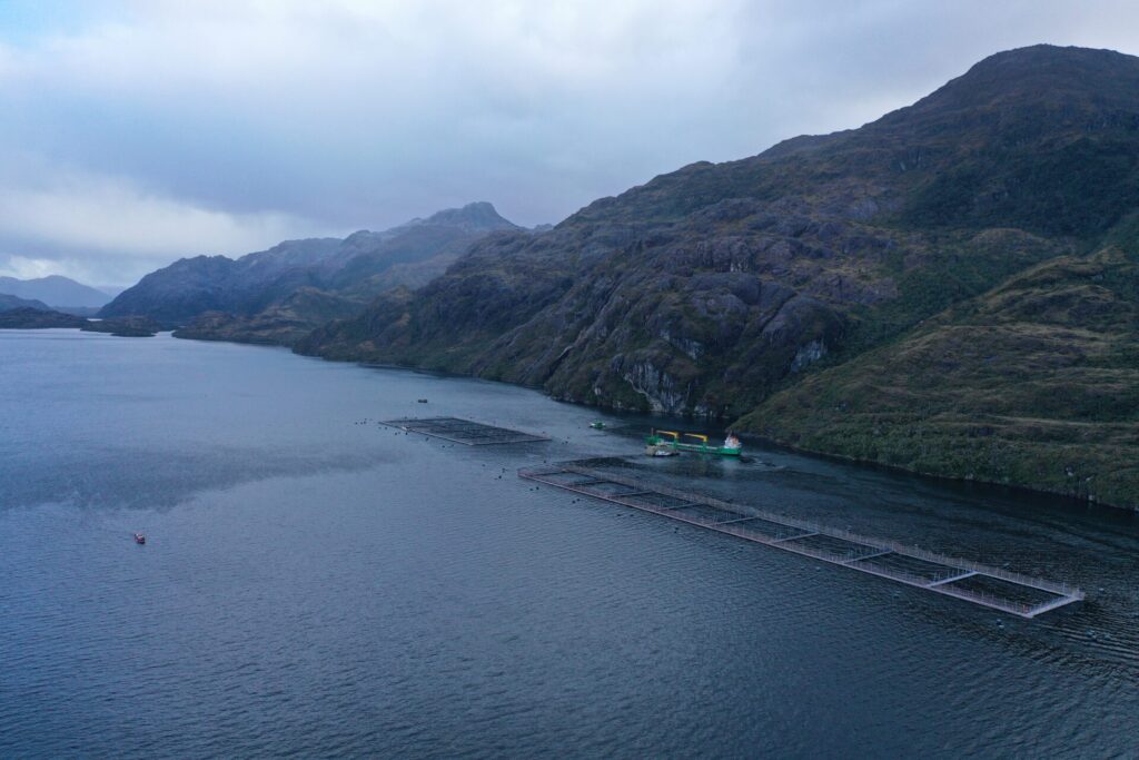 Salmoneras en la zona austral.