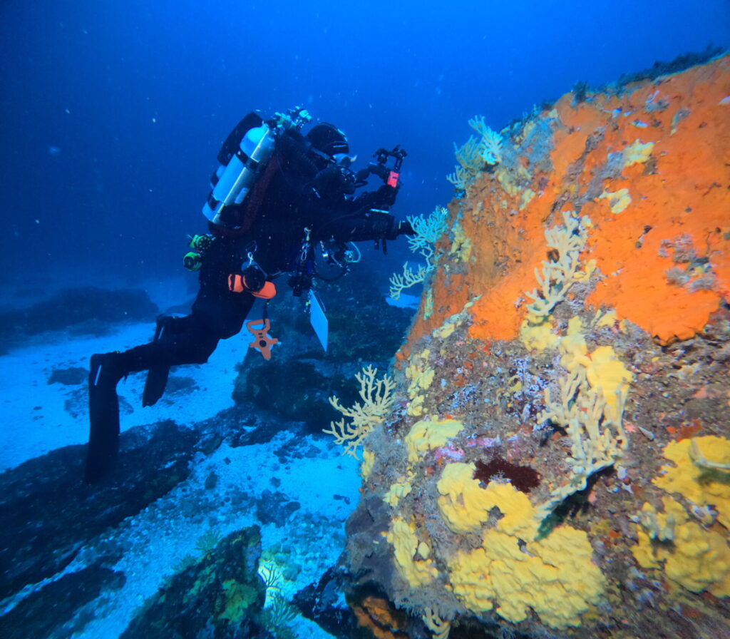 Arrecifes en Chañaral.
