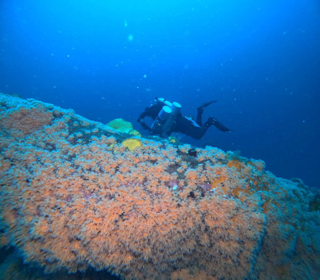 Arrecifes en Chañaral.