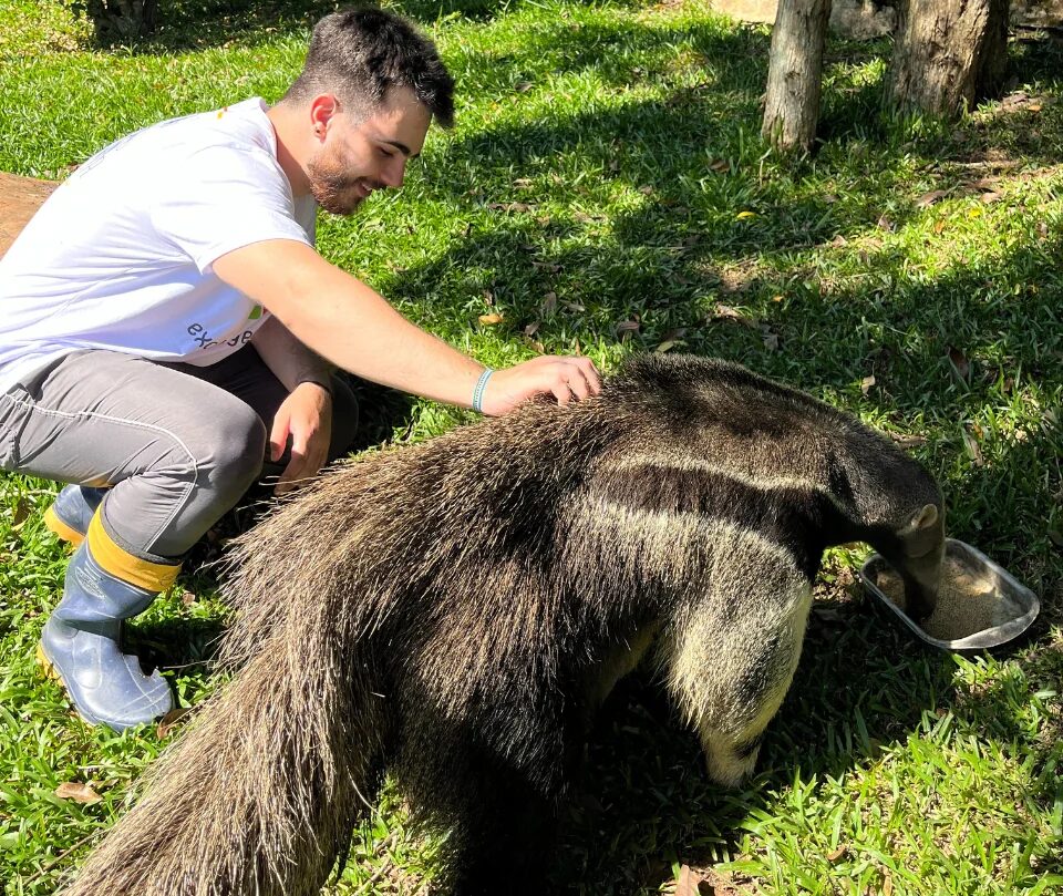 Foto de Tequio Proyect