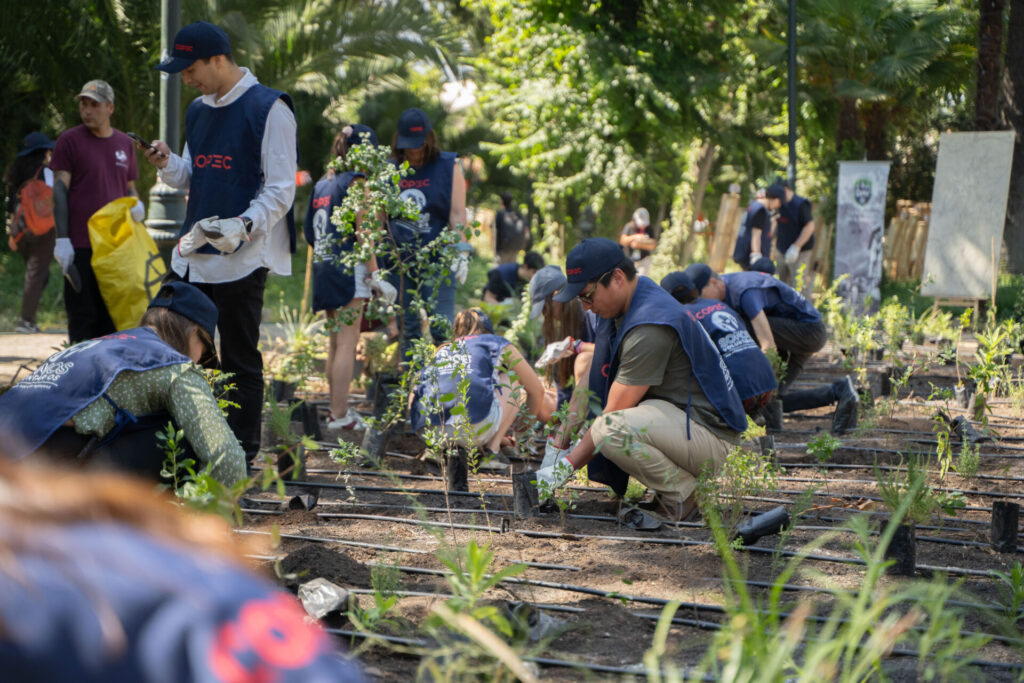 personas plantando en el bosque miyawaki durante el festival