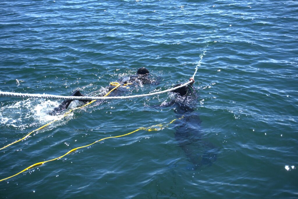 El buceo traspasado de generación en generación.