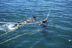 El buceo traspasado de generación en generación.