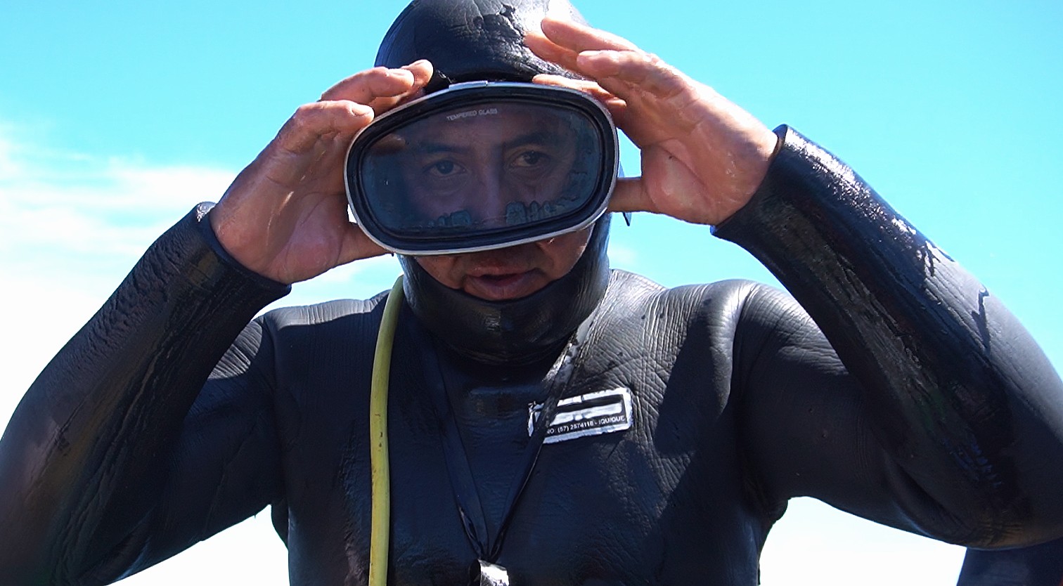 Presentan libro que invita a sumergirse en la historia y vivencias del buceo artesanal en Chile