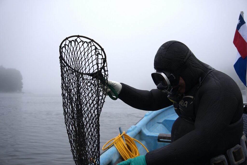 Pasos de la inmersión.