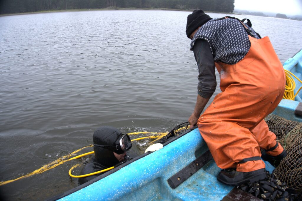 Pasos de la inmersión.