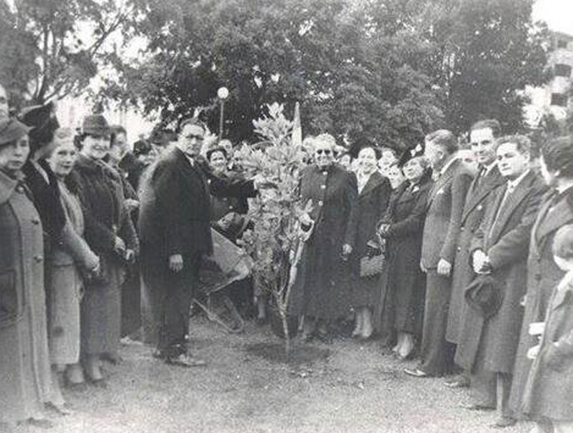 Gabriela Mistral (al centro y de gafas) plantando un canelo en la Plaza de Armas de Osorno en 1938. Créditos: ©Municipalidad de Osorno