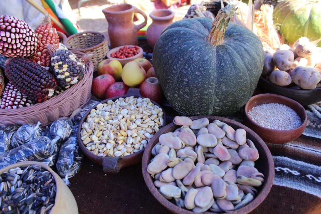 Hortalizas y semillas