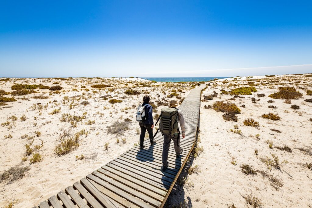 Parque Nacional Llanos del Challe. Créditos Sernatur Atacama.