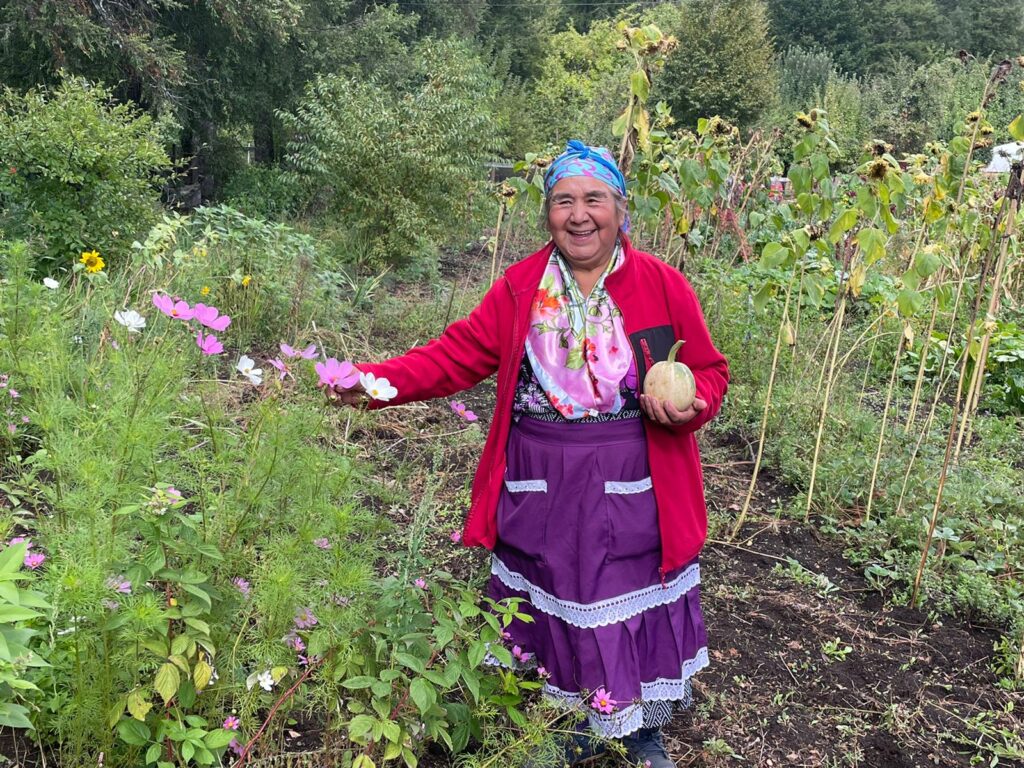 Huerta mapuche